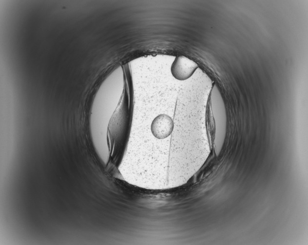 X0000093420411200711091421