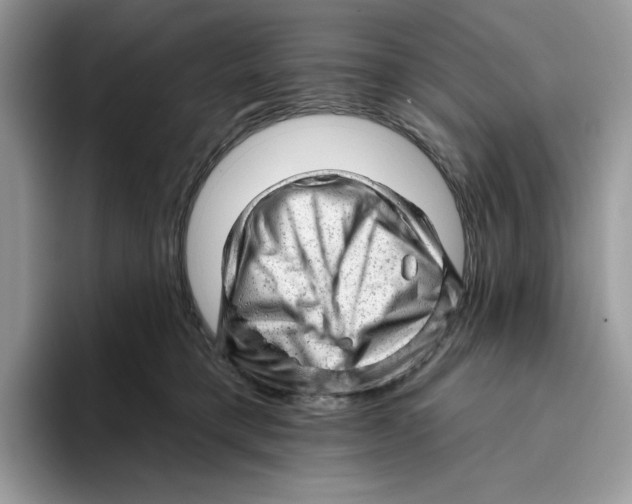 X0000093420421200711091421