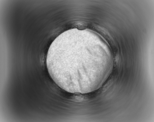 X0000093420423200711091421