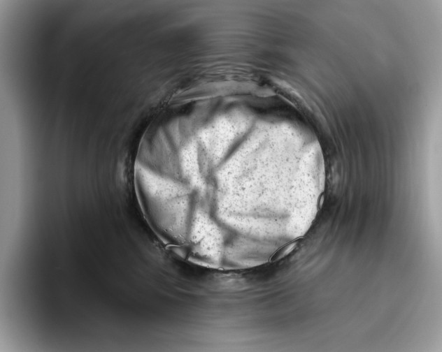 X0000093420424200711091421