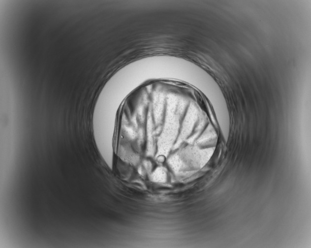 X0000093420425200711091421