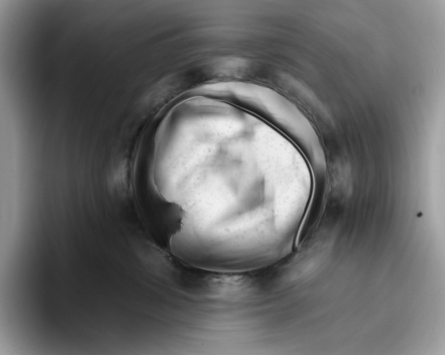 X0000093420428200711091421