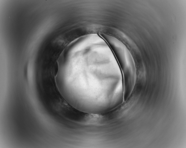 X0000093420429200711091421