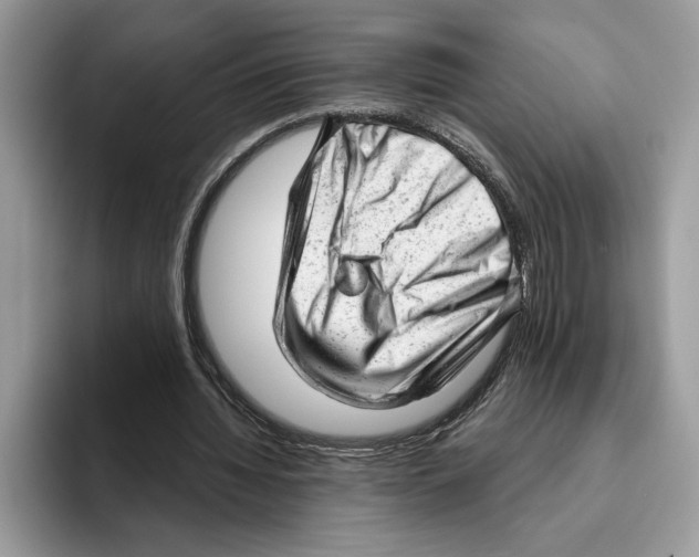 X0000093420436200711091420