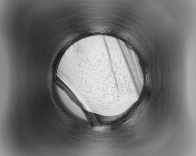 X0000093420444200711091420