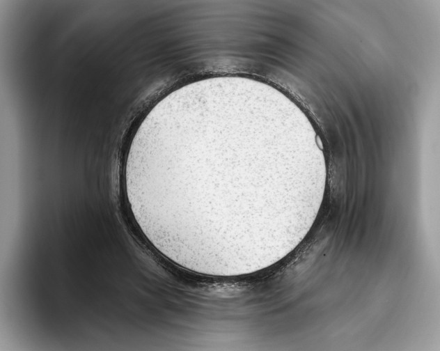 X0000093420445200711091420