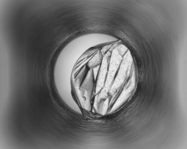 X0000093420448200711091420