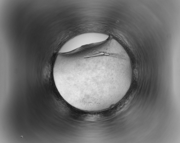 X0000093420458200711091420