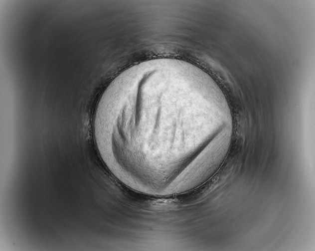 X0000093420465200711091420