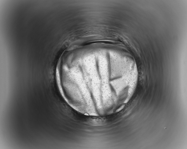 X0000093420466200711091420