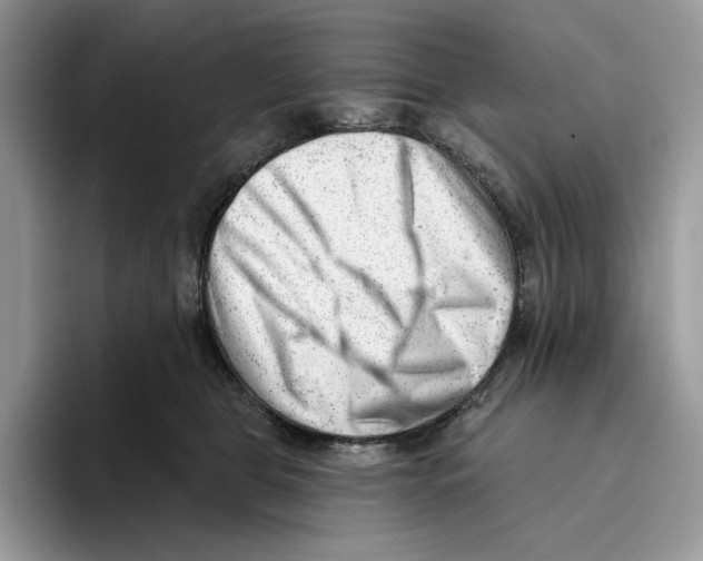 X0000093420469200711091420