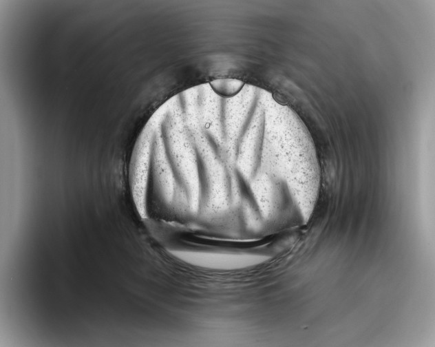 X0000093420470200711091421