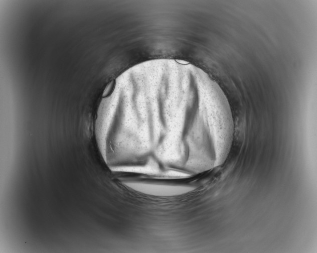 X0000093420474200711091421