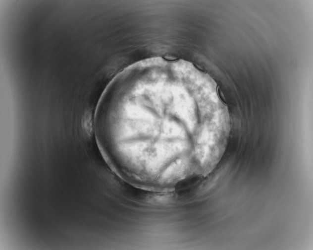 X0000093420479200711091421