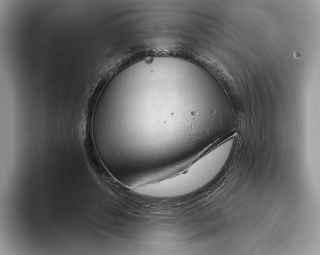 X0000093420496200711091420