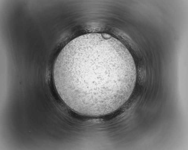 X0000093420499200711091420