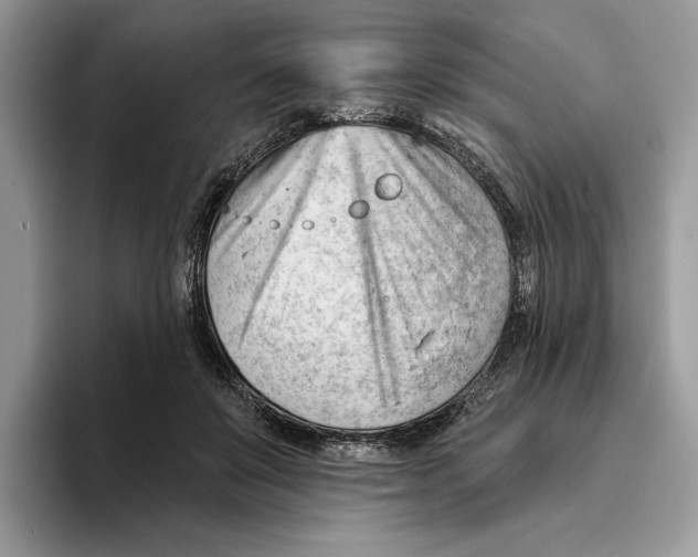 X0000093420503200711091420