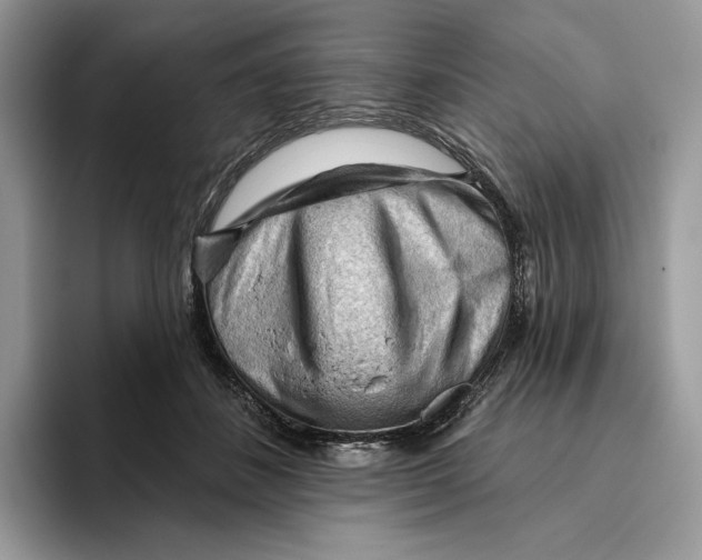 X0000093420508200711091420