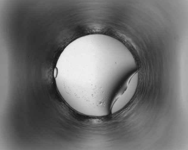 X0000093420509200711091420