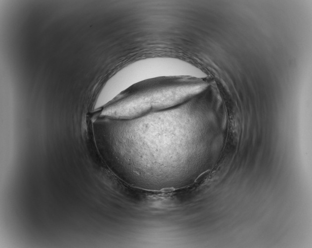 X0000093420516200711091420