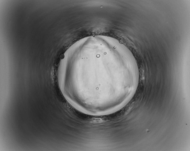 X0000093420519200711091420