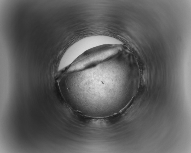 X0000093420520200711091420