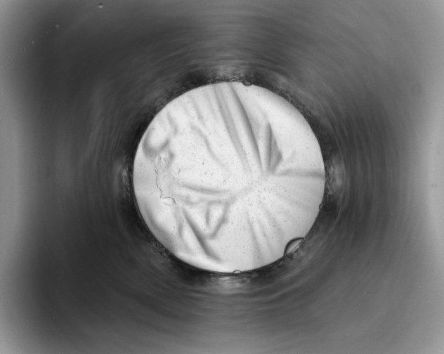 X0000093420522200711091420