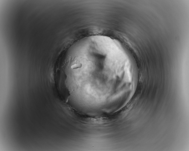 X0000093420524200711091420