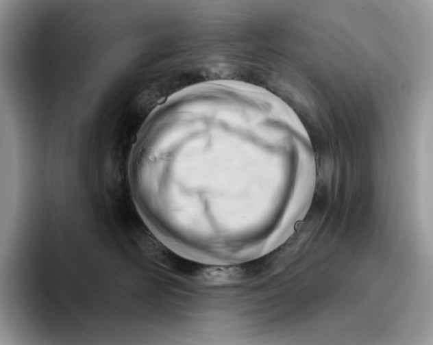 X0000093420526200711091420