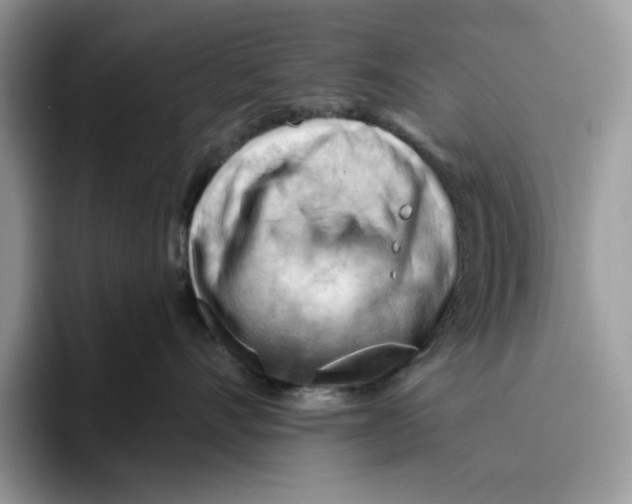 X0000093420528200711091420