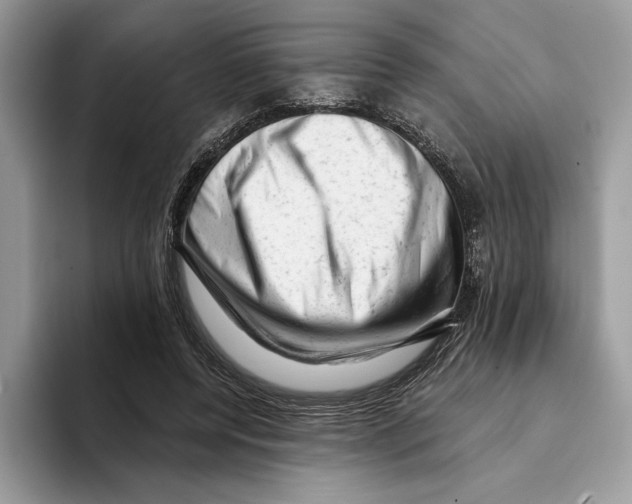 X0000093420544200711091419