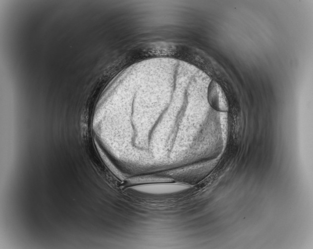 X0000093420553200711091419