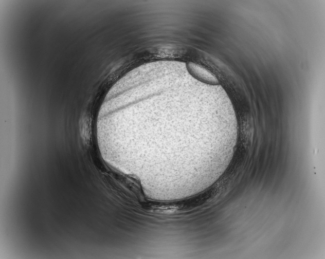 X0000093420554200711091419