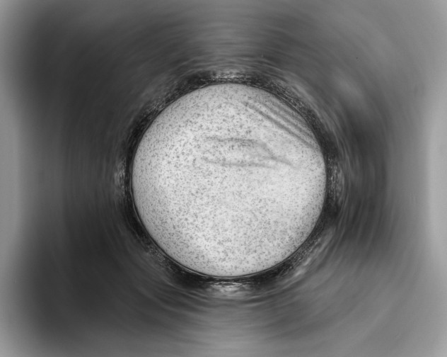 X0000093420557200711091419