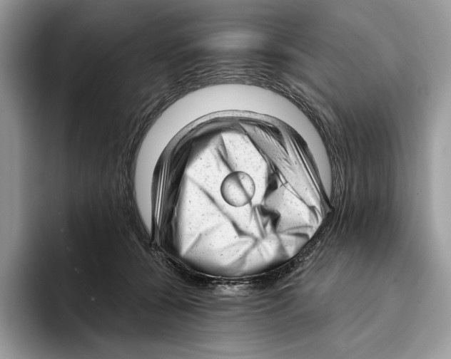 X0000093420560200711091419