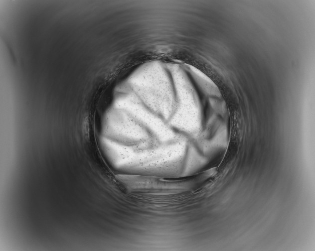 X0000093420562200711091419