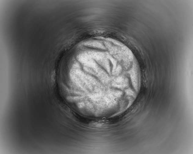 X0000093420563200711091419