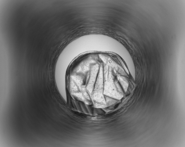 X0000093420564200711091419