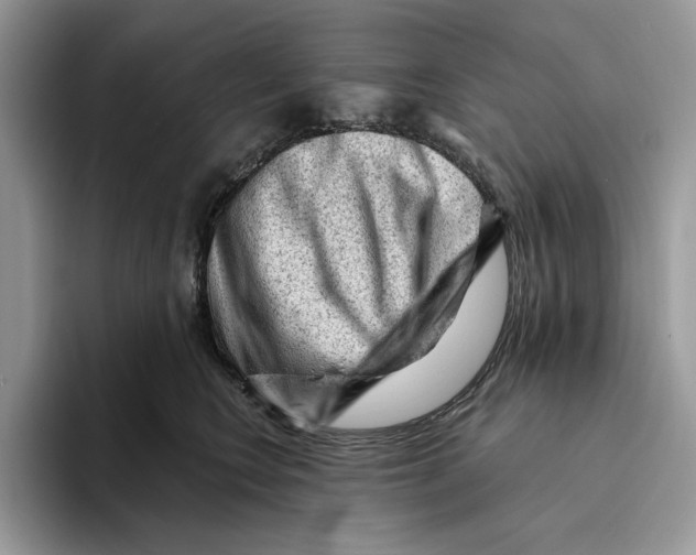 X0000093420566200711091419