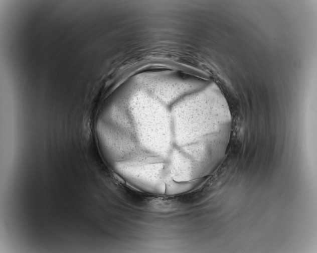 X0000093420568200711091419