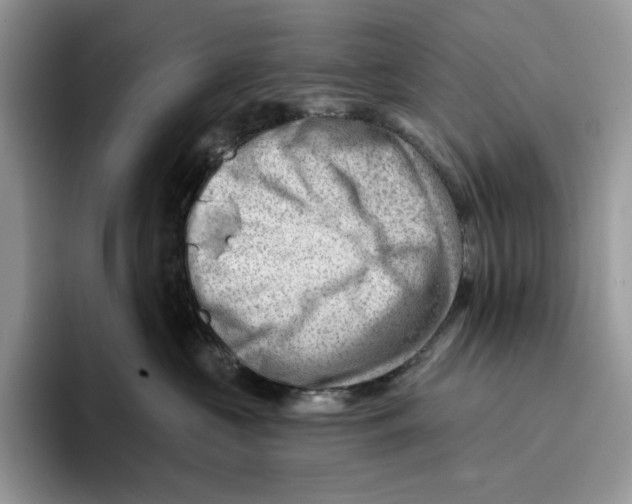 X0000093420573200711091419