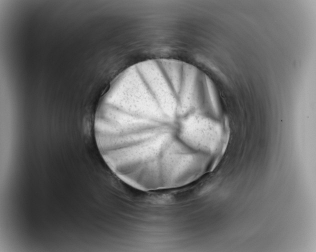 X0000093420576200711091419