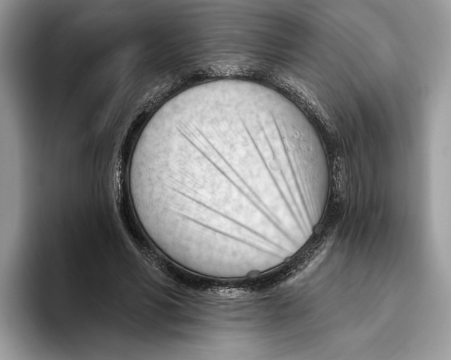 X0000093420590200711091419