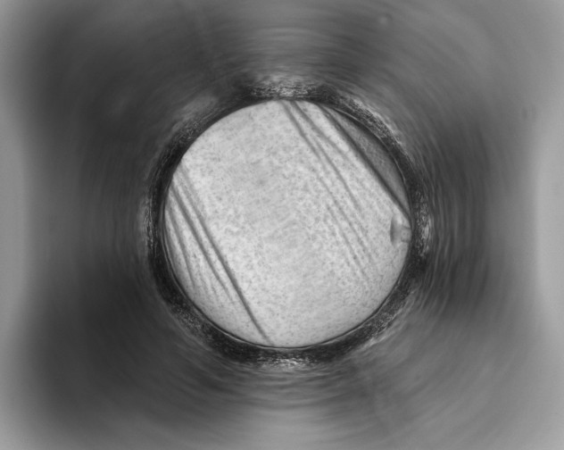 X0000093420594200711091419