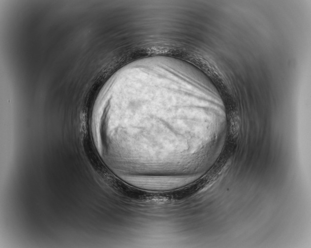 X0000093420598200711091419