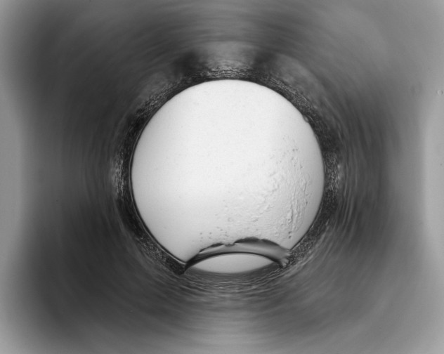 X0000093420599200711091419