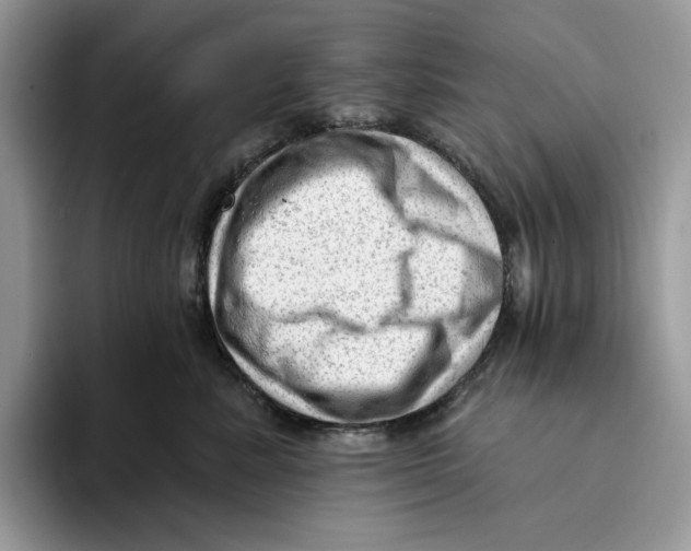 X0000093420619200711091418