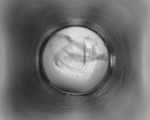 X0000093420627200711091418