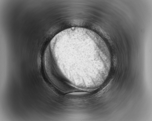 X0000093420637200711091418