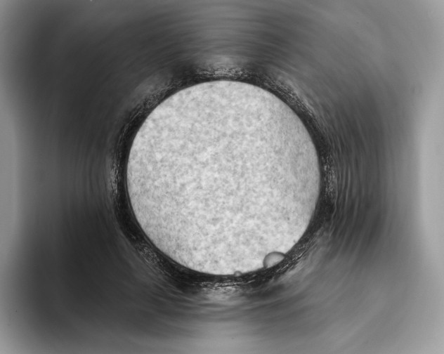 X0000093420643200711091418